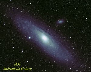 M31