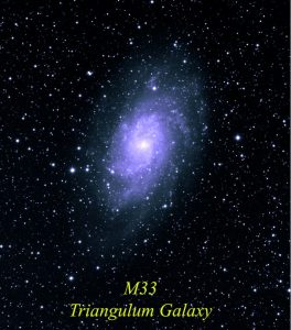 M33